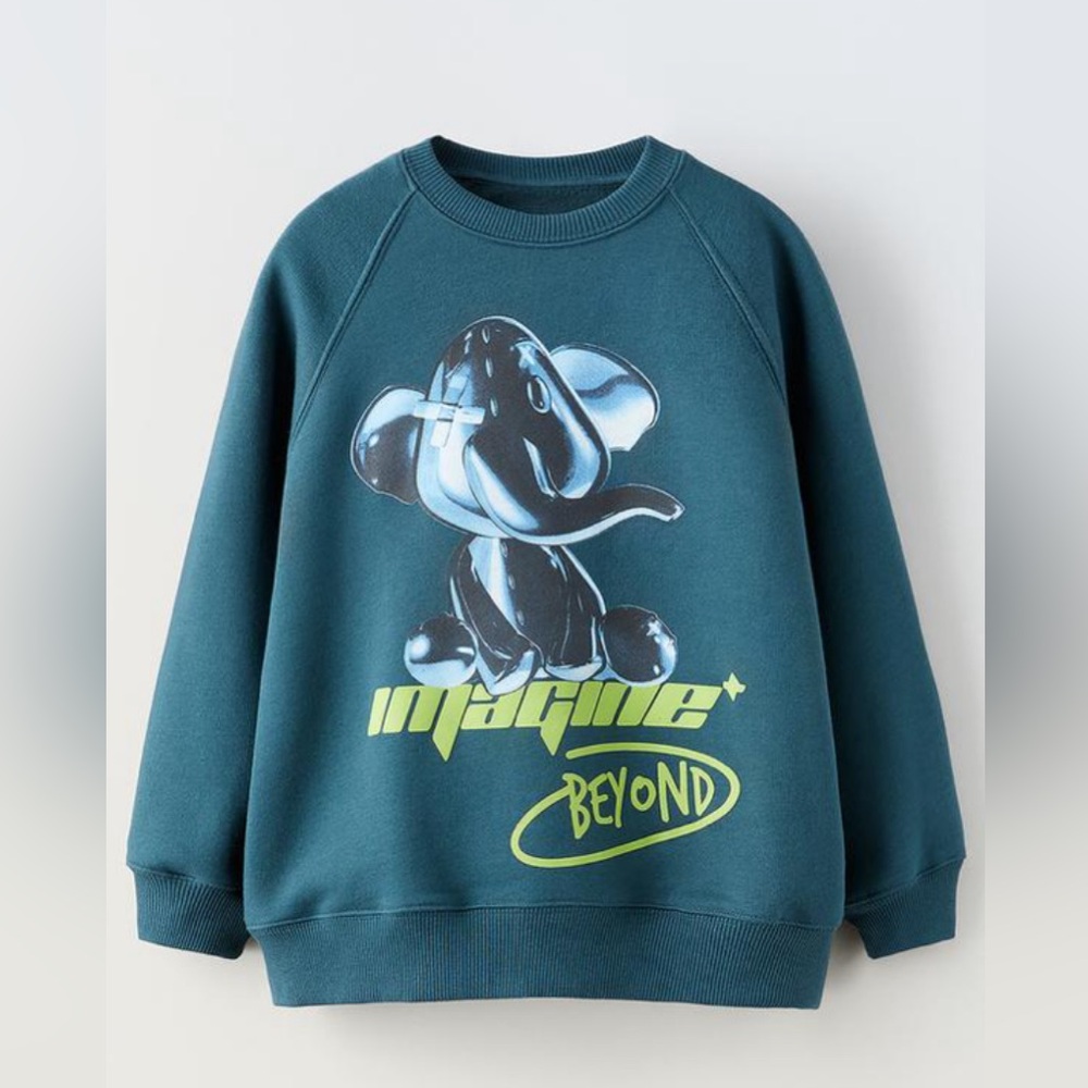 NWT ZARA sweatshirt